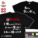 面白Tシャツ ネタ プレゼント S/M/L/XL 黒/白/赤/青/黄 メール便対応 意外とナイーヴです。 日本土産 和柄 プレゼント